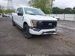 1FTFW1E84PKD14892 2023 FORD F-150
