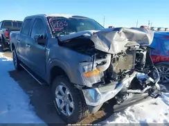 1FTFW1E84PKD29733 2023 FORD F-150