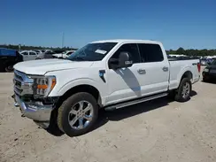 1FTFW1E84PKF41113 2023 FORD F-150