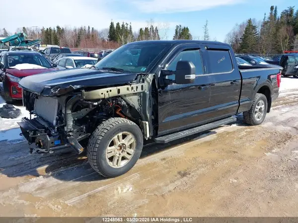 1FTFW1E84PKF76301 2023 FORD F-150 - Image 2
