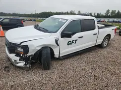 1FTFW1E84PKG12391 2023 FORD F-150