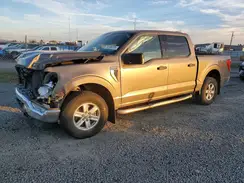 1FTFW1E85MKD86292 2021 FORD F-150