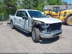 1FTFW1E85MKE52520 2021 FORD F-150