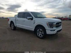 1FTFW1E85PFB13981 2023 FORD F-150