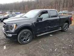1FTFW1E85PFB59990 2023 FORD F-150