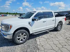1FTFW1E85PKD11550 2023 FORD F-150