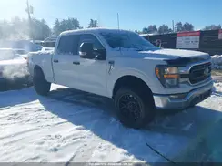 1FTFW1E85PKD72333 2023 FORD F-150