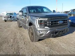 1FTFW1E85PKE99597 2023 FORD F-150