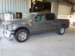 1FTFW1E85PKF58406 2023 FORD F-150