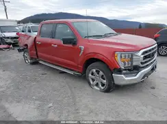 1FTFW1E85PKF76677 2023 FORD F-150