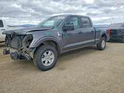 1FTFW1E86MFA39644 2021 FORD F-150