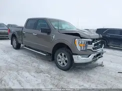 1FTFW1E86MFB21339 2021 FORD F-150