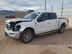 1FTFW1E86MFC33381 2021 FORD F-150