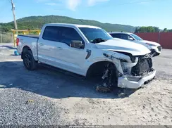 1FTFW1E86MKD78833 2021 FORD F-150