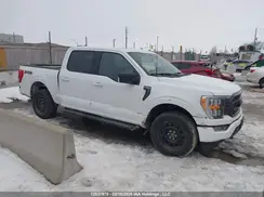 1FTFW1E86NFA81331 2022 FORD F-150