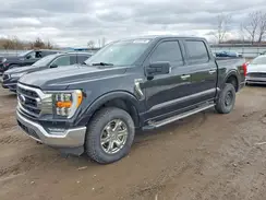 1FTFW1E86NFB03568 2022 FORD F-150
