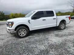 1FTFW1E86PFA92896 2023 FORD F-150