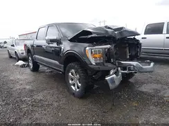 1FTFW1E86PKD03568 2023 FORD F-150
