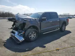 1FTFW1E86PKE09728 2023 FORD F-150