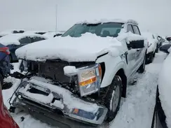 1FTFW1E87MFB02489 2021 FORD F-150