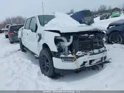 1FTFW1E87NFB91482 2022 FORD F-150