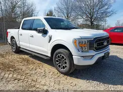 1FTFW1E87PFB53284 2023 FORD F-150