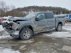1FTFW1E87PFC61789 2023 FORD F-150