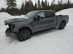 1FTFW1E87PKF42790 2023 FORD F-150