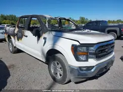 1FTFW1E87PKF58228 2023 FORD F-150