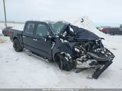 1FTFW1E88MKD71446 2021 FORD F-150