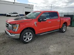 1FTFW1E88PKE13814 2023 FORD F-150