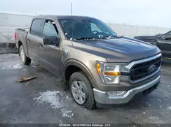 1FTFW1E89MFC52653 2021 FORD F-150