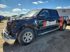 1FTFW1E89PKD53381 2023 FORD F-150