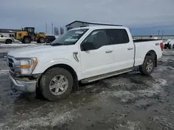1FTFW1E89PKE03115 2023 FORD F-150