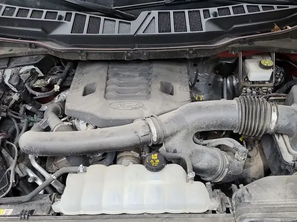 1FTFW1E8XMKE96089 2021 FORD F-150 - Image 8