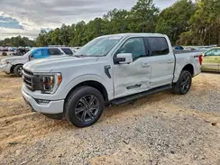 1FTFW1E8XPFA53020 2023 FORD F-150