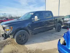 1FTFW1E8XPFA59982 2023 FORD F-150