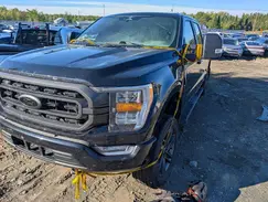 1FTFW1E8XPFC82992 2023 FORD F-150
