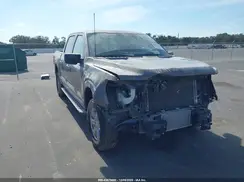1FTFW1E8XPFD30135 2023 FORD F-150