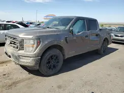 1FTFW1ED0PFA00419 2023 FORD F-150