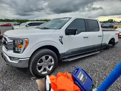 1FTFW1ED0PFA50785 2023 FORD F-150