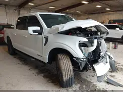 1FTFW1ED0PFB09446 2023 FORD F-150