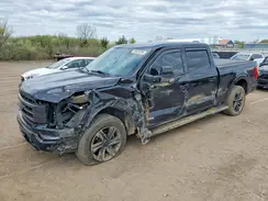 1FTFW1ED0PFB14467 2023 FORD F-150