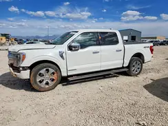 1FTFW1ED0PFB55343 2023 FORD F-150