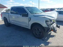 1FTFW1ED0PFC67799 2023 FORD F-150