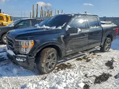 1FTFW1ED0PFC74848 2023 FORD F-150