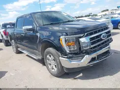 1FTFW1ED0PFD29556 2023 FORD F-150