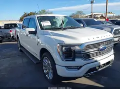 1FTFW1ED1PFA53453 2023 FORD F-150
