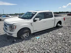 1FTFW1ED1PFA67658 2023 FORD F-150