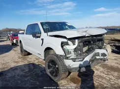 1FTFW1ED1PFB51382 2023 FORD F-150